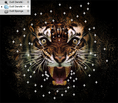 Illustration de tigre psychédélique avec Photoshop