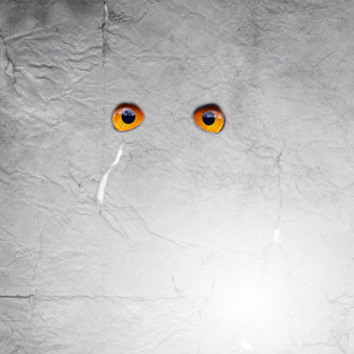 Owls Design V2 avec Photoshop