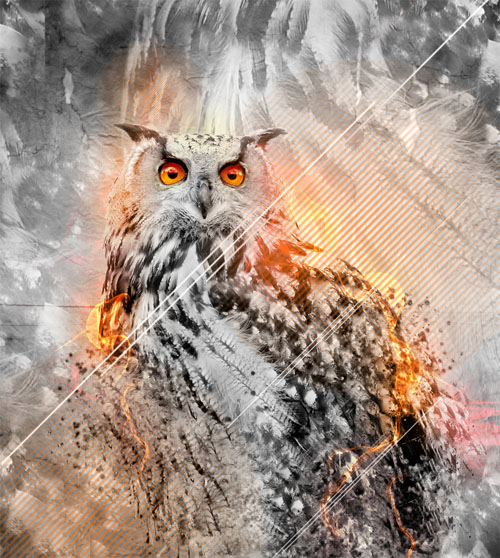 Owls Design V2 avec Photoshop